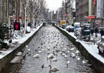 Winter in Amsterdam 