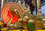 Boeddha met neonlich