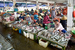 De vismarkt in Hoi-A