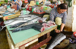 De vismarkt van Hoi-