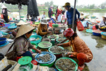 Vismarkt van Hoi-An
