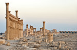 Palmyra, Syrië (201